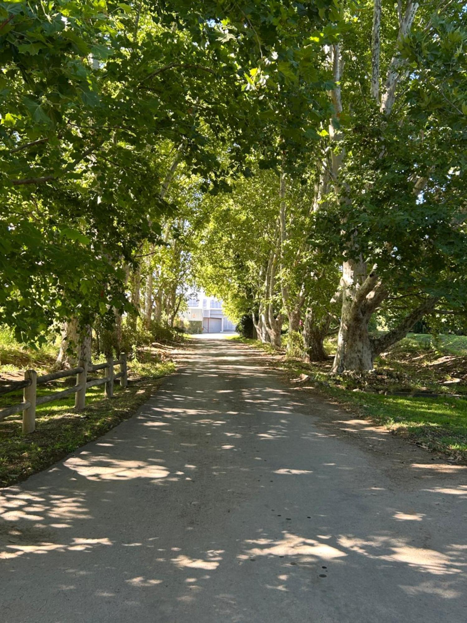 Broadlands Country House Kirkwood Εξωτερικό φωτογραφία